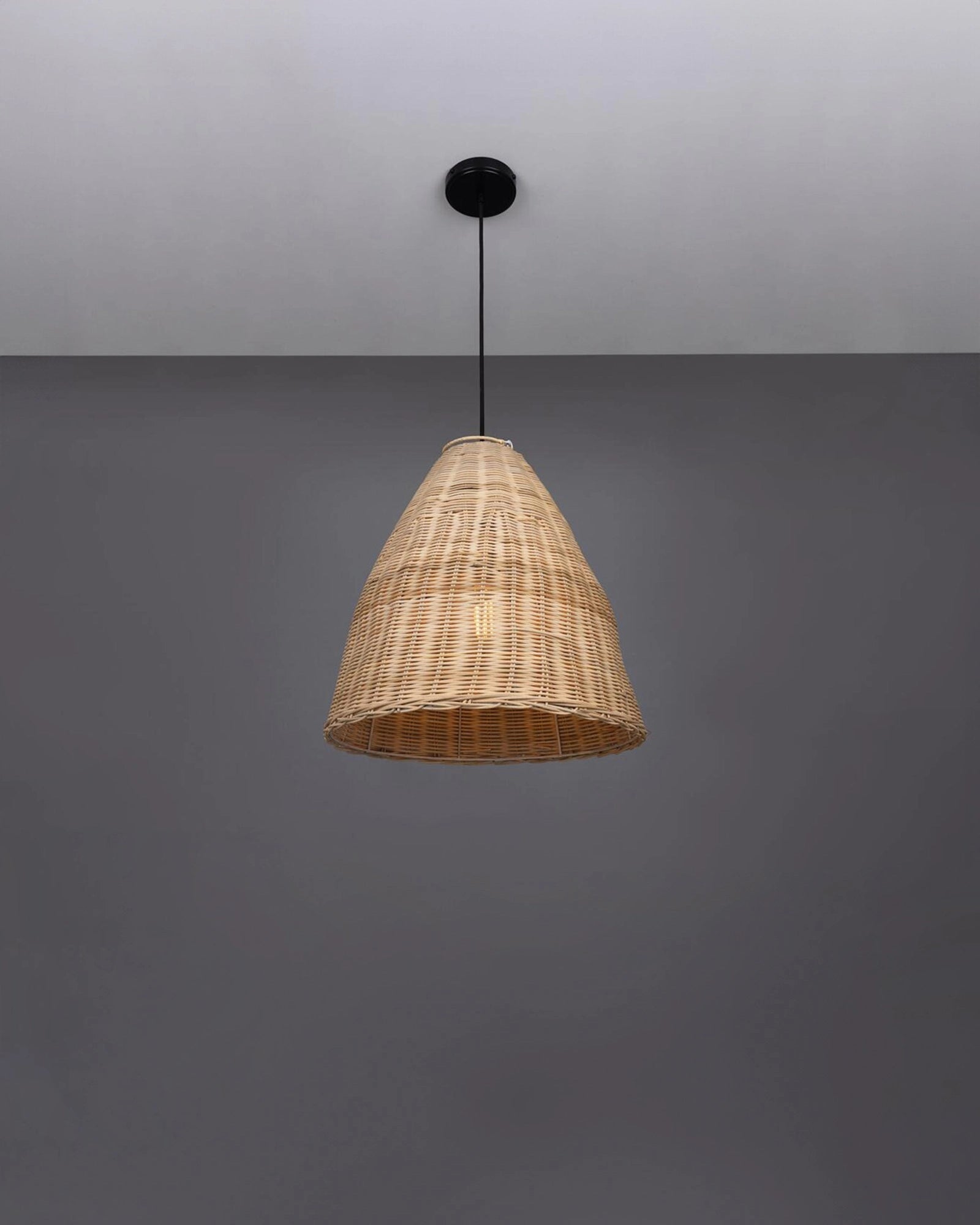 Altus Pendant Light