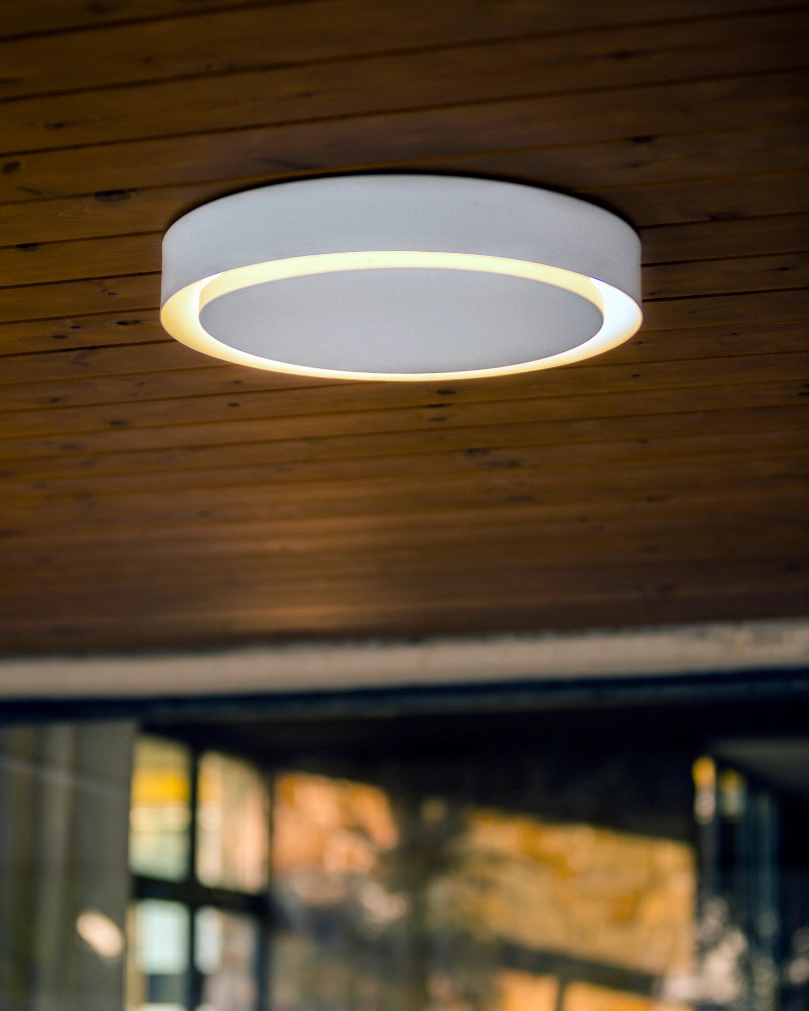 Amigo Wall/Ceiling Light