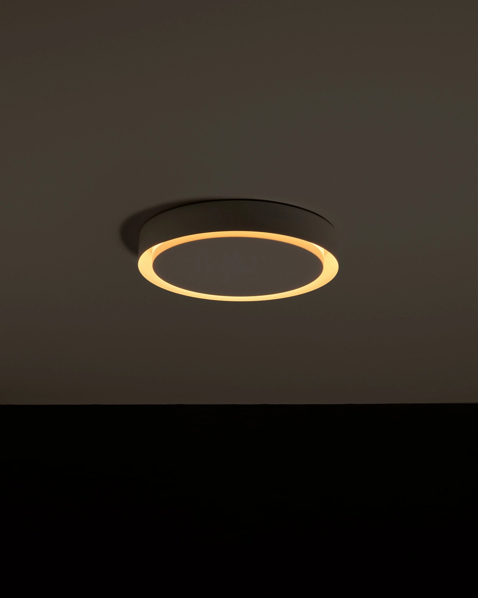 Amigo Wall/Ceiling Light