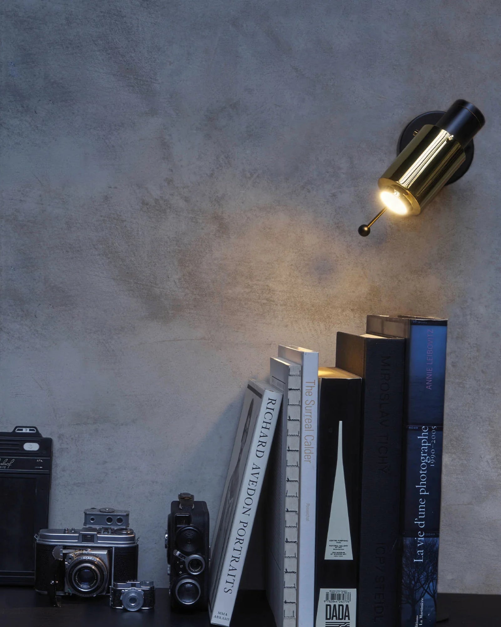 Biny Spot Wall Light