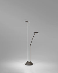Birdie 2lt Spike Light