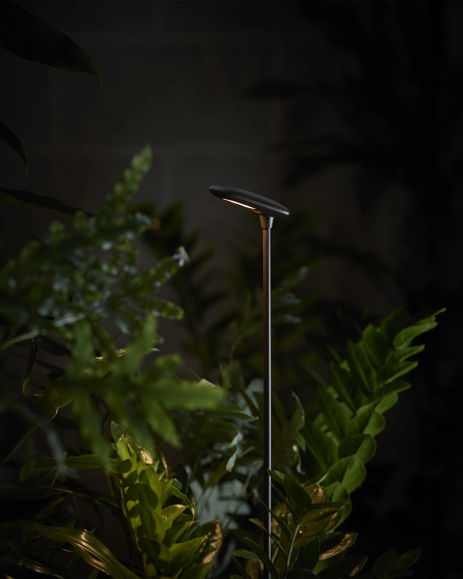 Birdie 1lt Spike Light