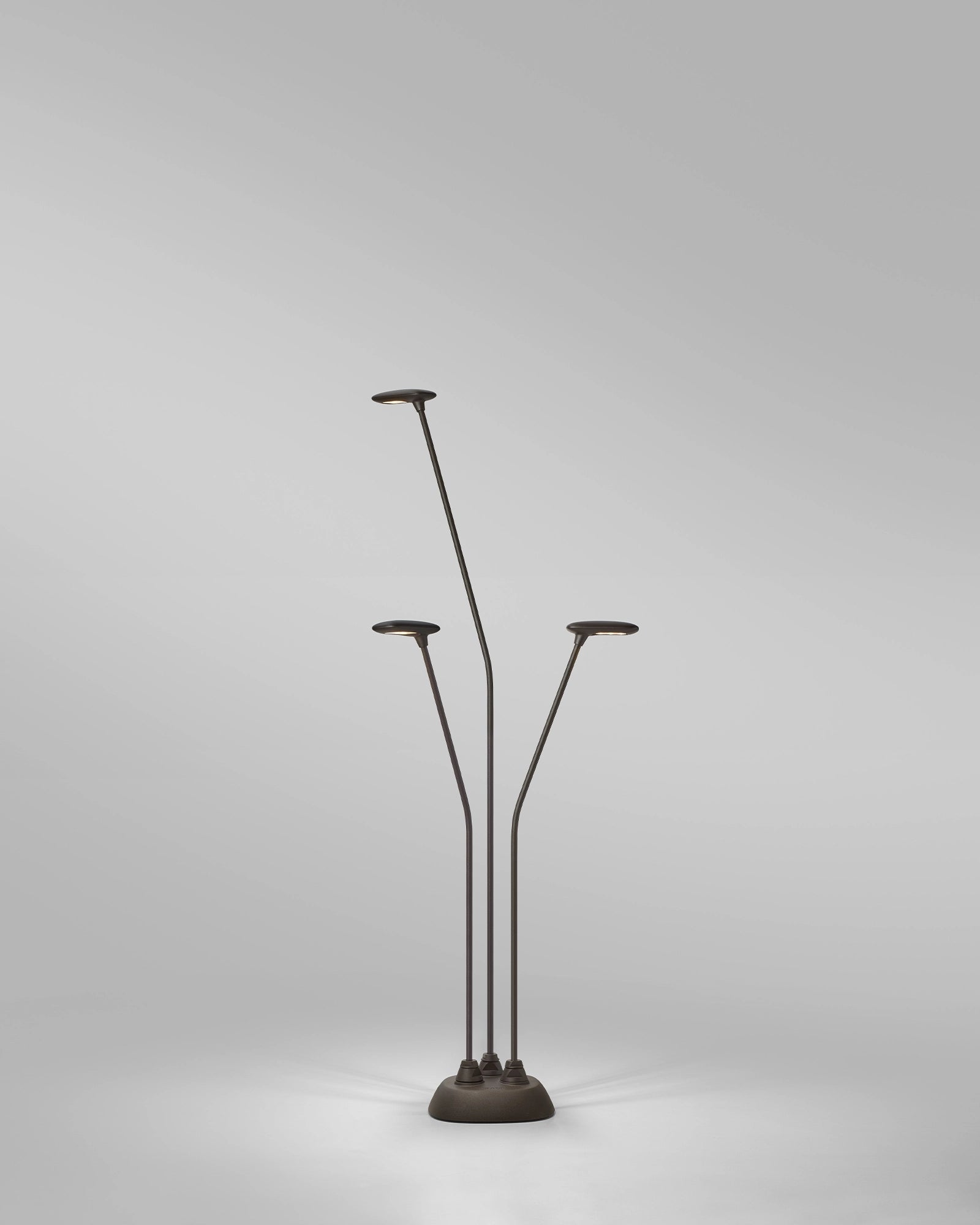 Birdie 3lt Spike Light