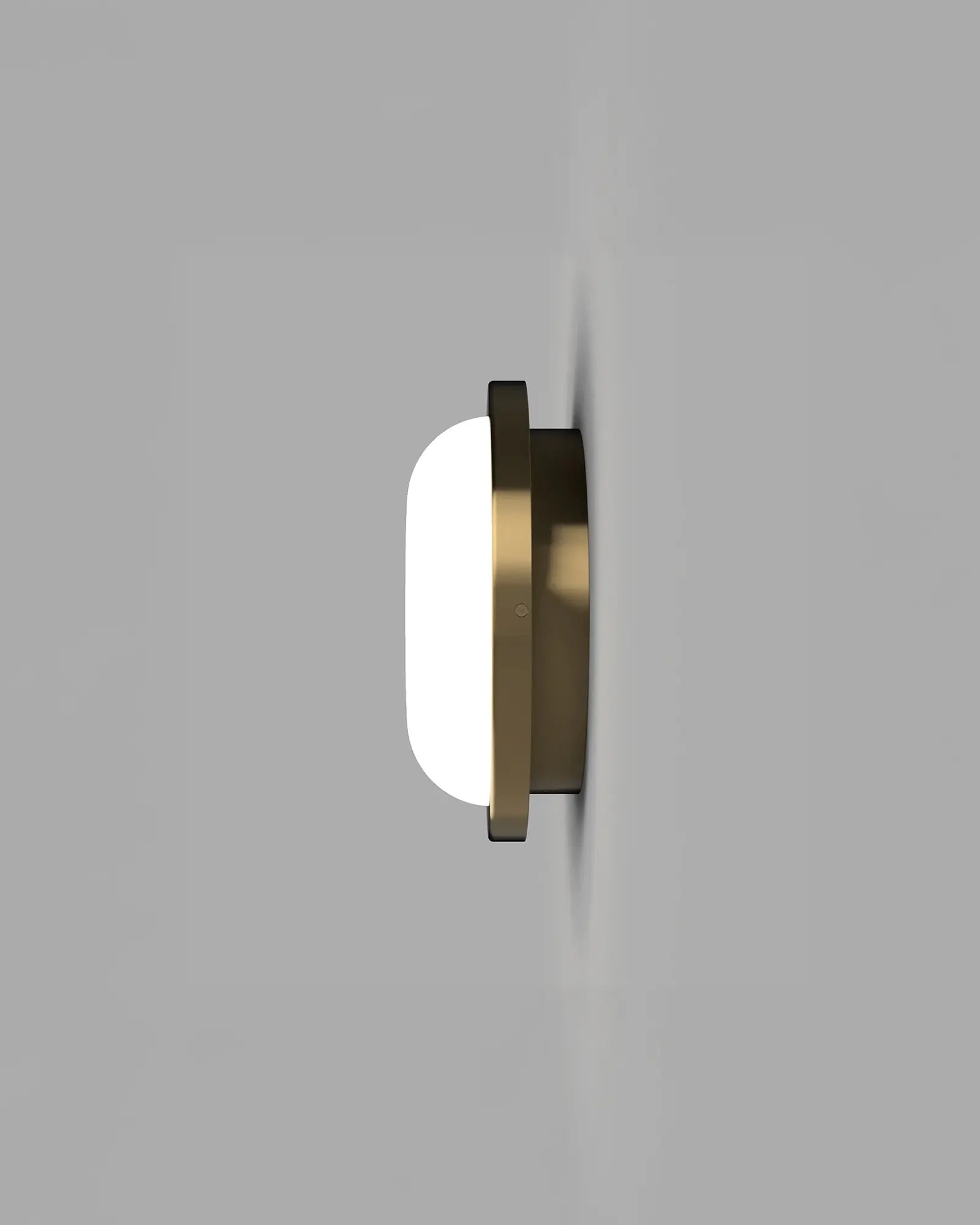 Bode Round Wall/Ceiling Light