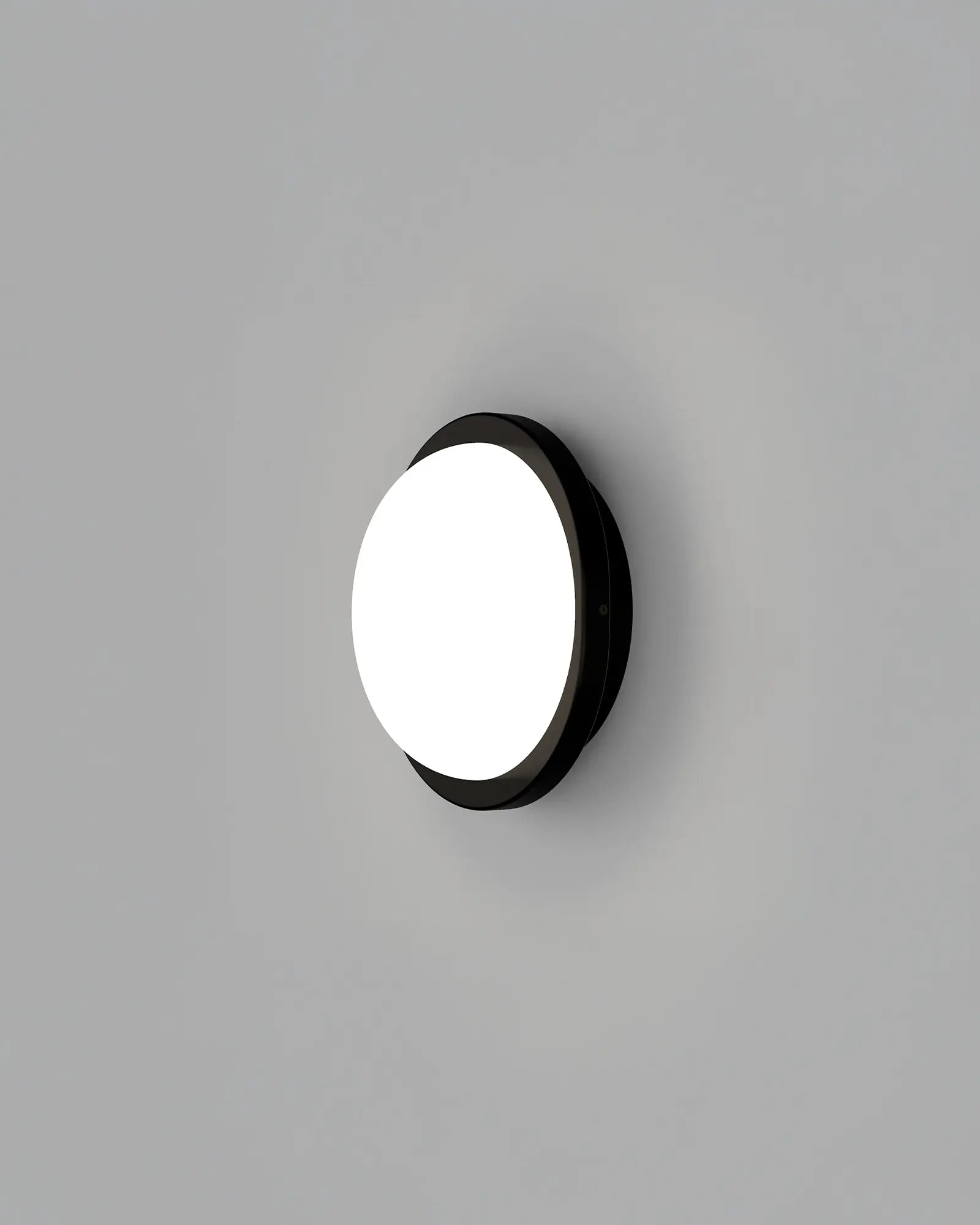 Bode Round Wall/Ceiling Light