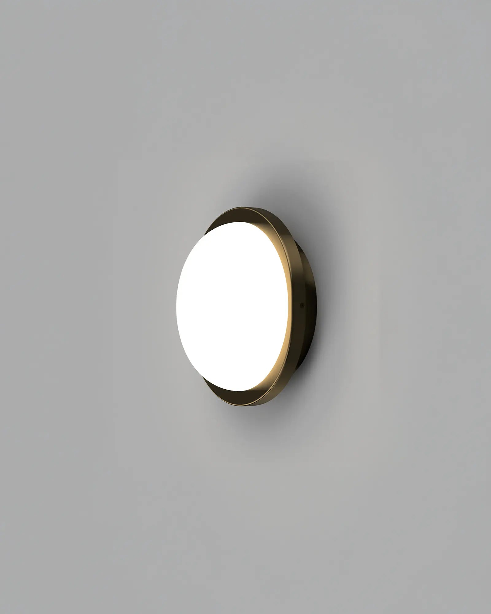 Bode Round Wall/Ceiling Light