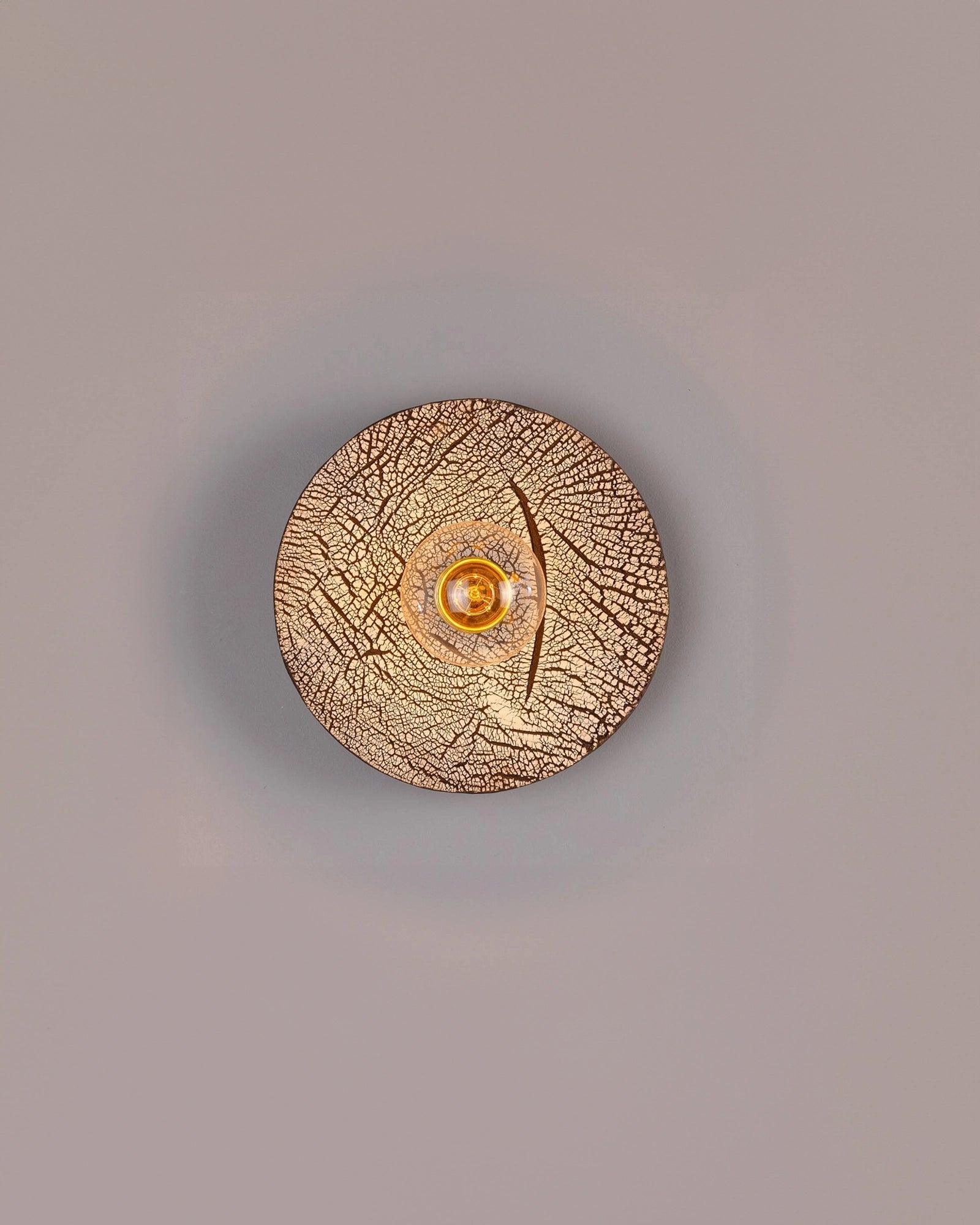 Bog Oak Wall Light