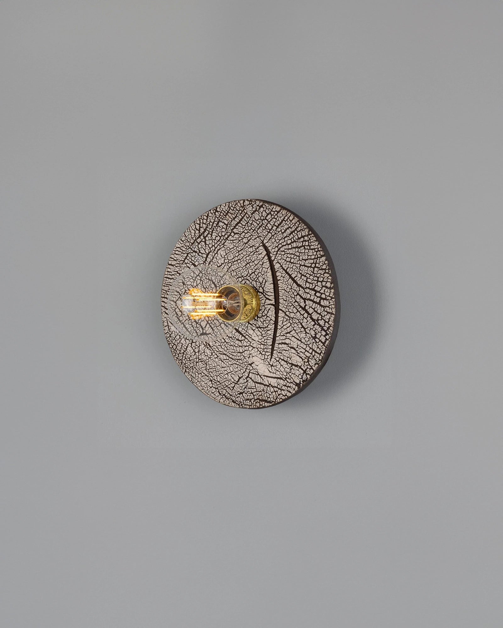 Bog Oak Wall Light