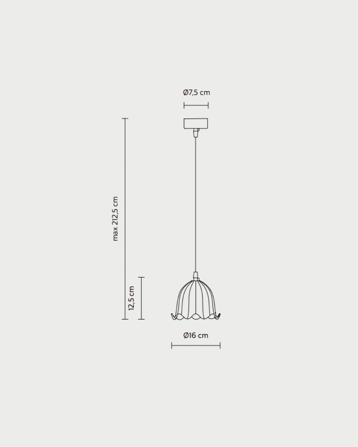 Ceraunavolta Pendant Light