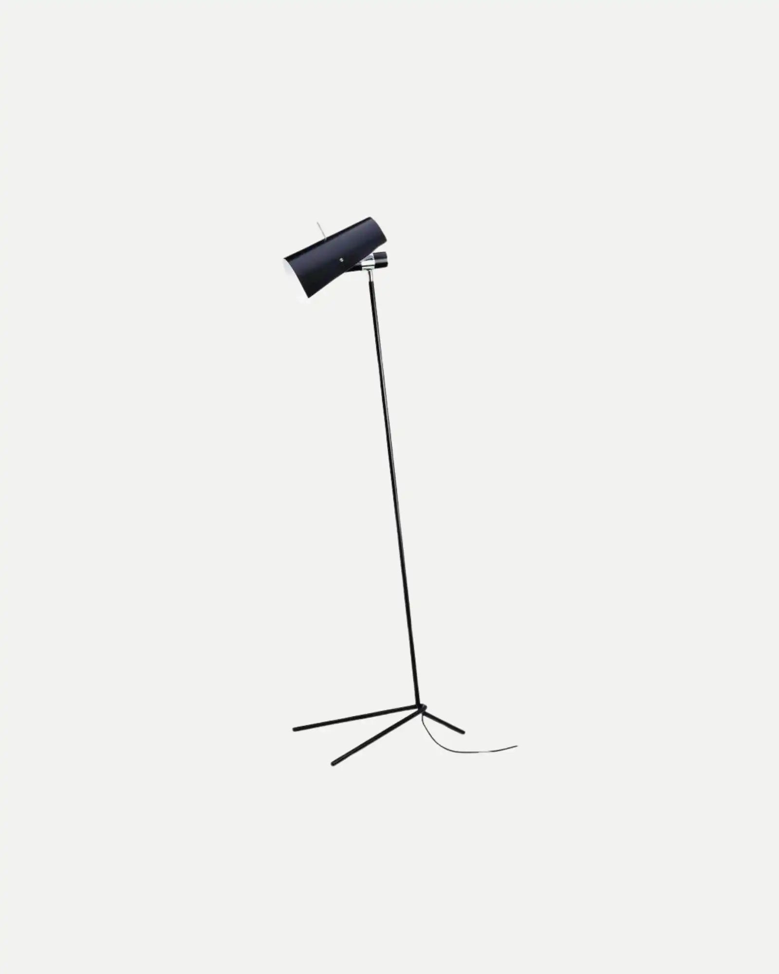 Claritas Floor Lamp