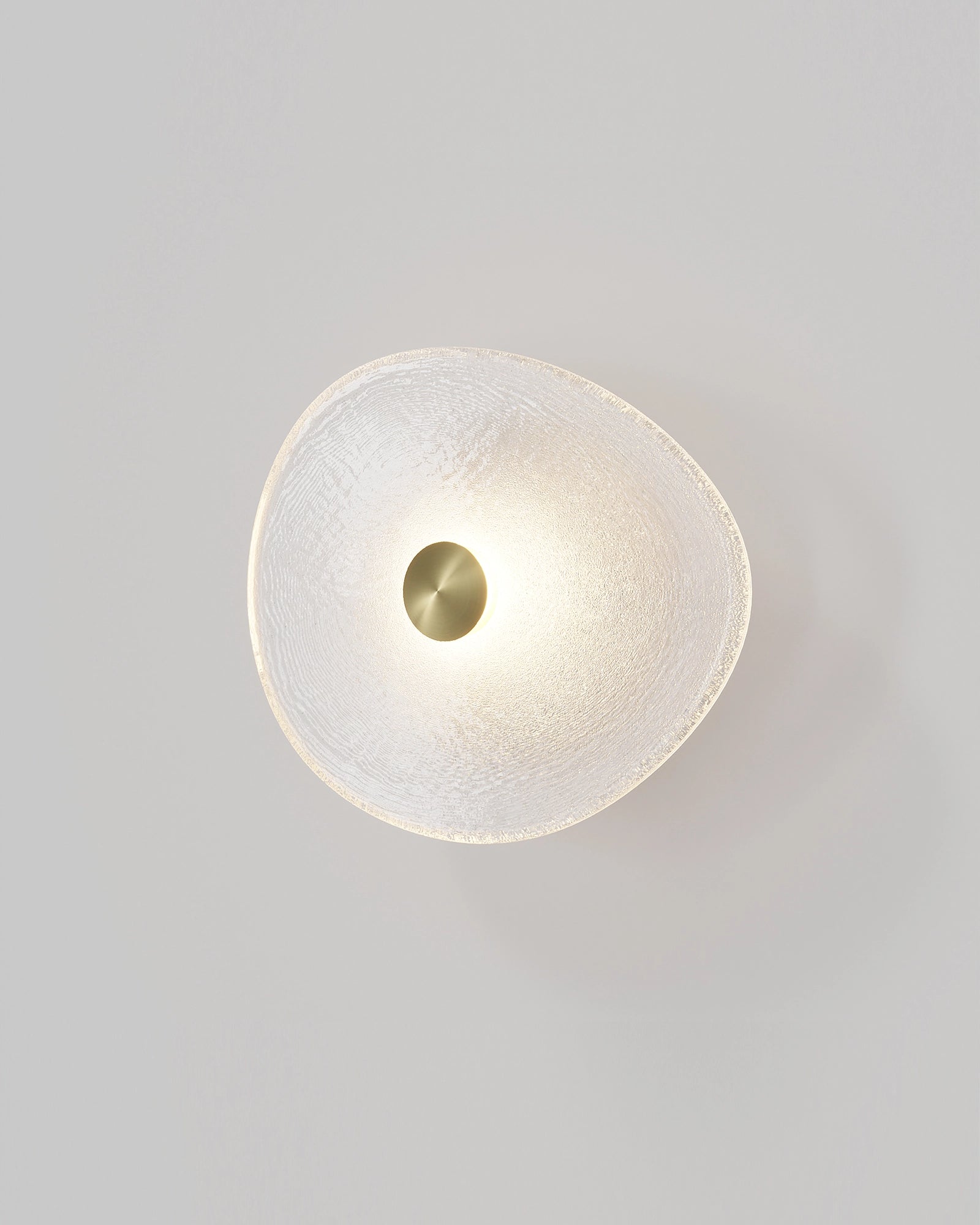 Coral Organic Wall Light