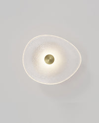 Coral Organic Wall Light