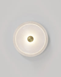 Coral Stone Wall Light