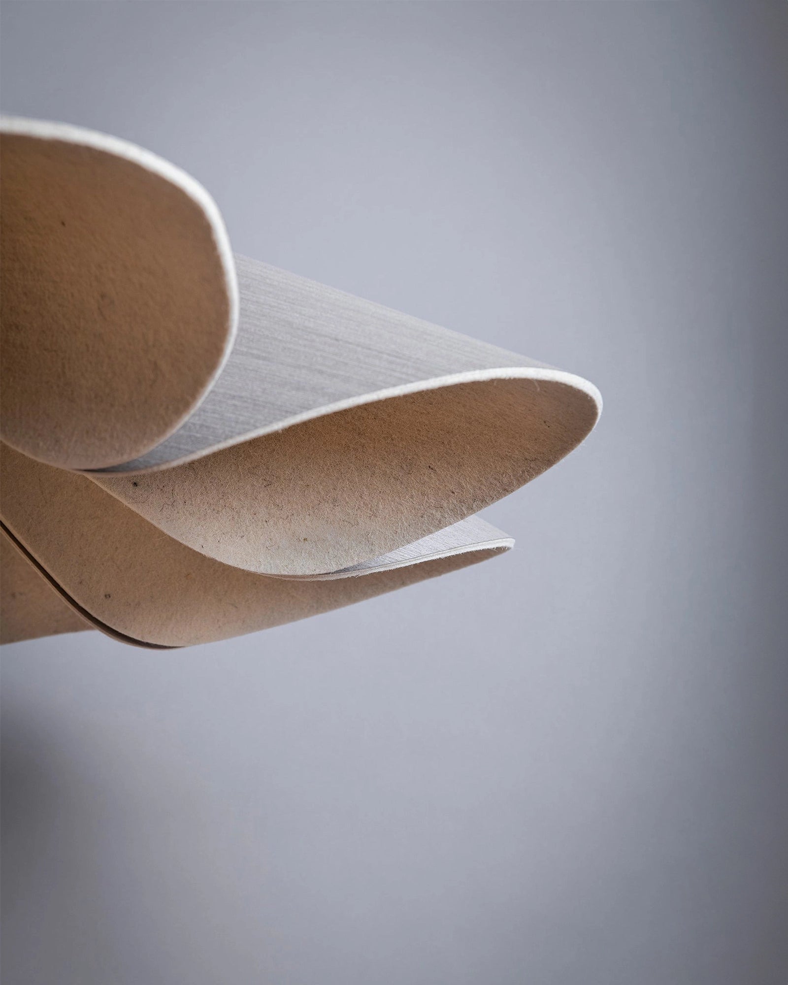 Delfina Acoustic Pendant Light