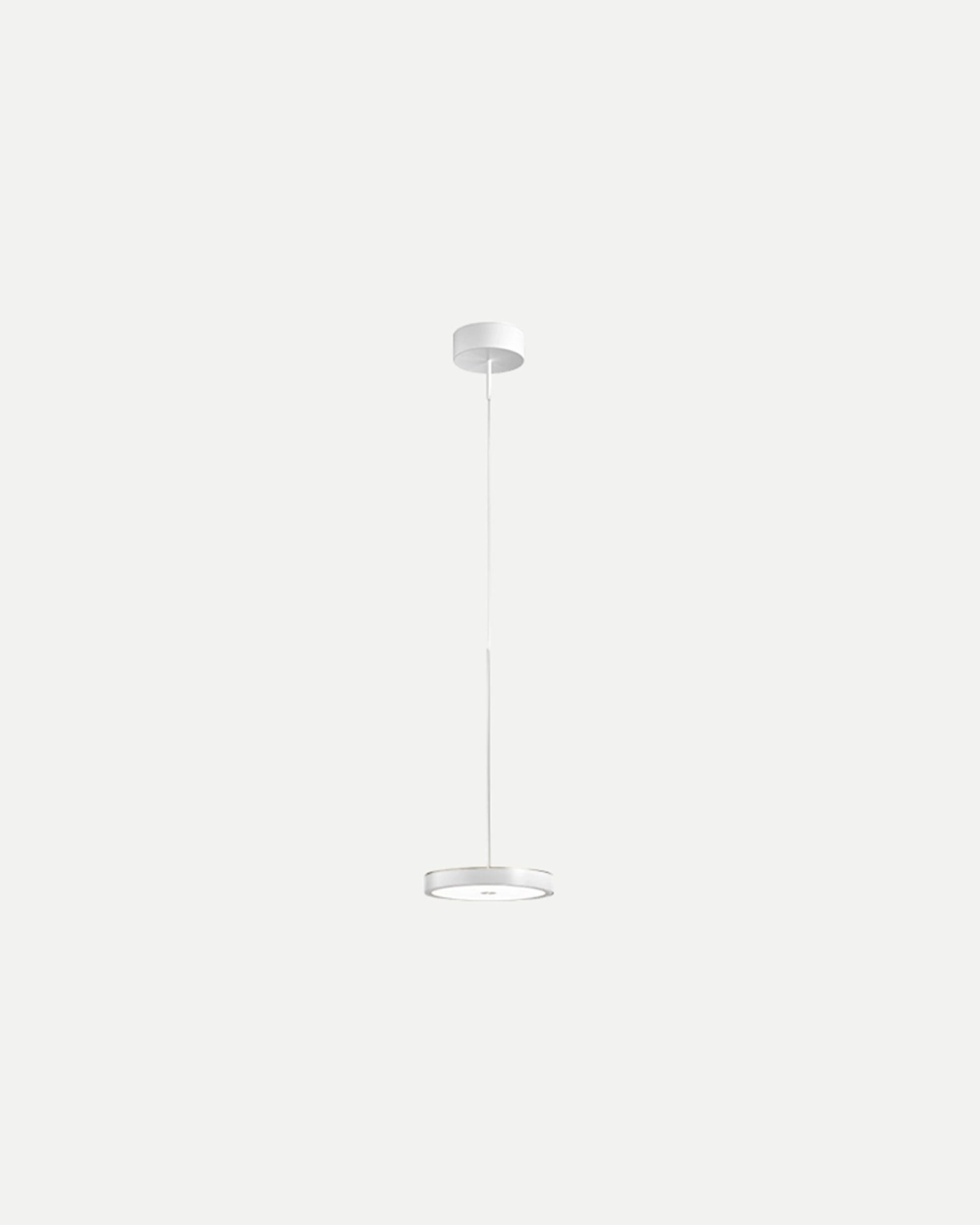 Dip Pendant Light