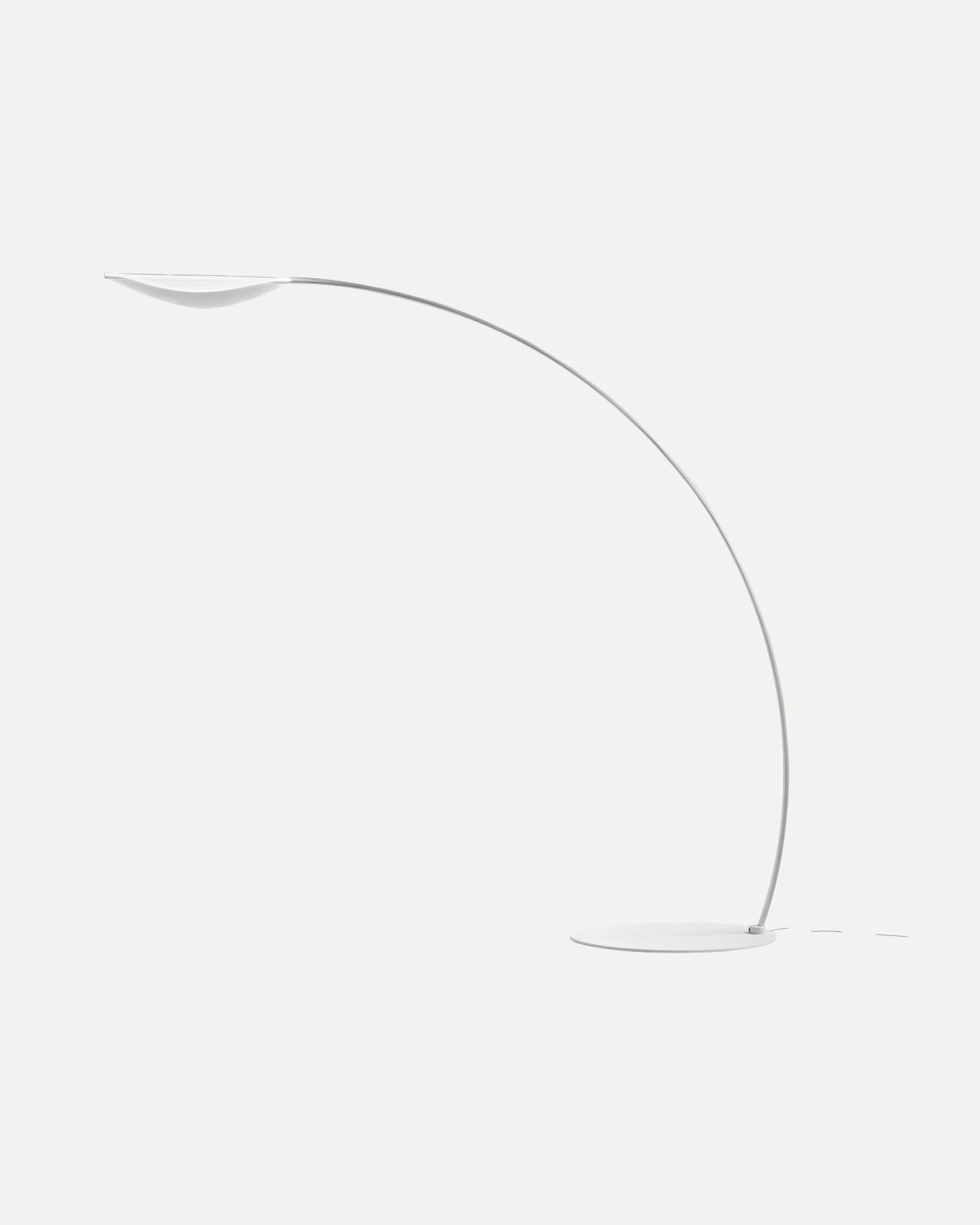 Diphy Floor Lamp