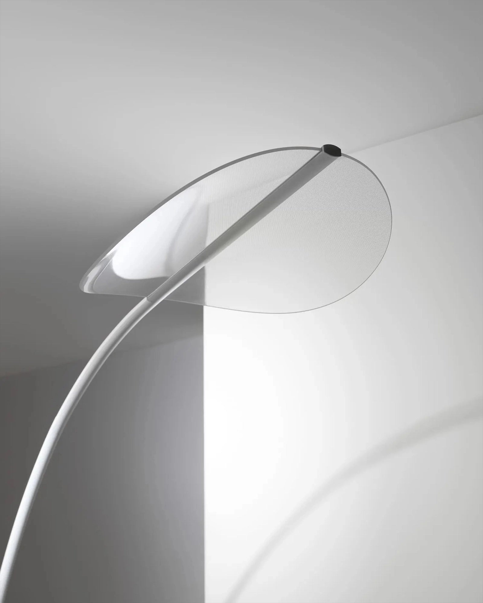 Diphy Floor Lamp