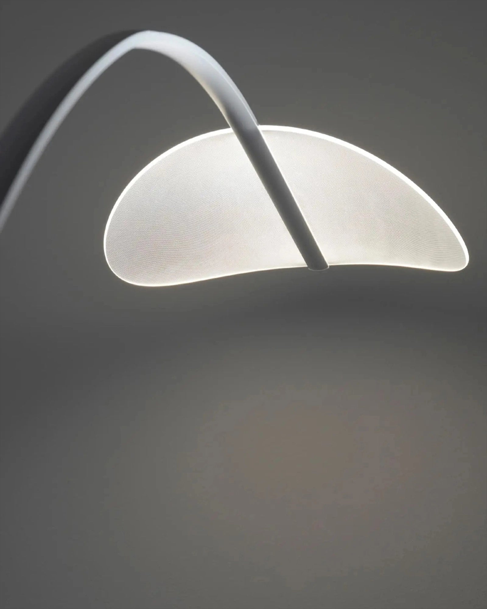 Diphy Floor Lamp