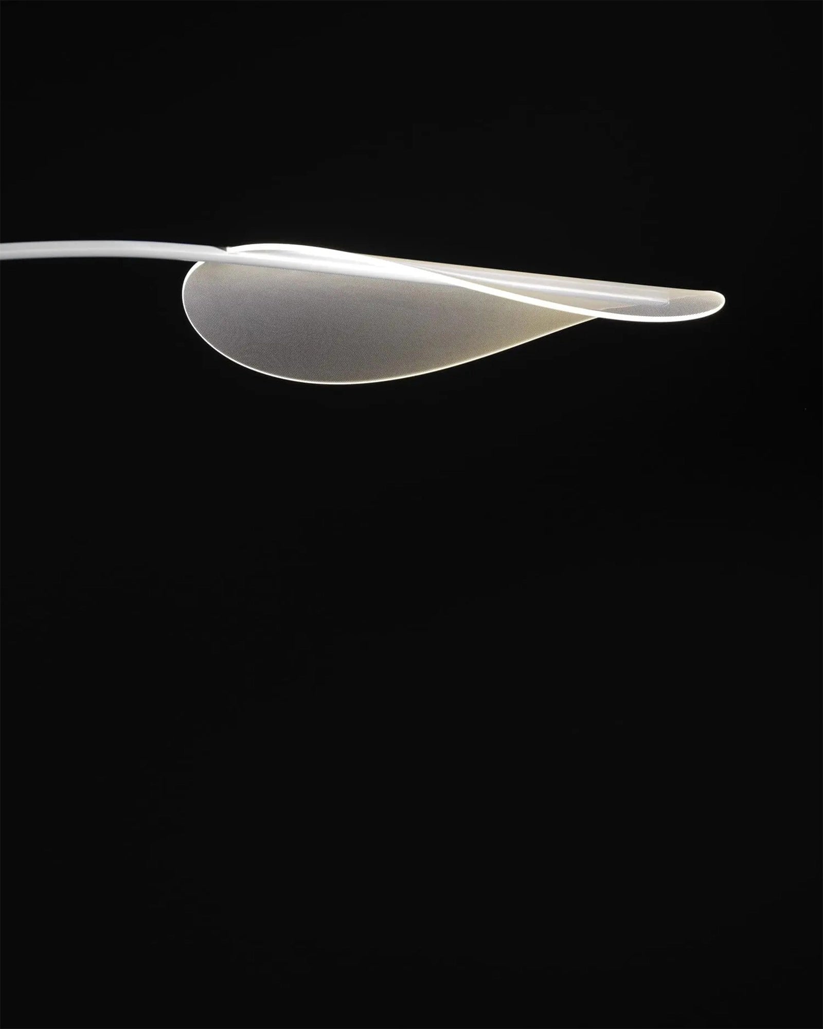 Diphy Floor Lamp
