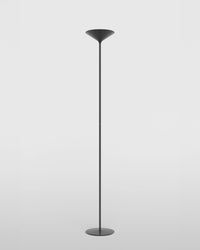 Dry Floor Lamp