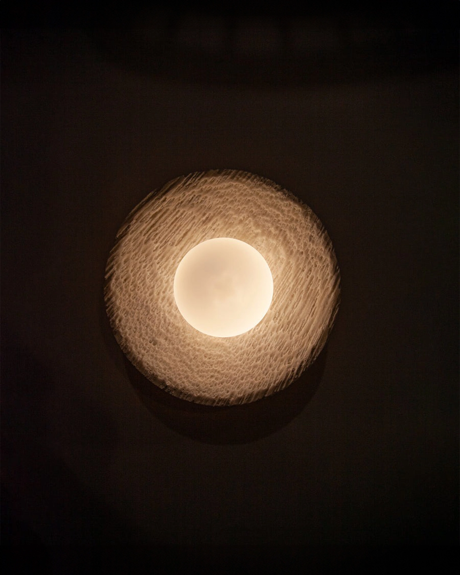Fossil Coral Orb Wall Light