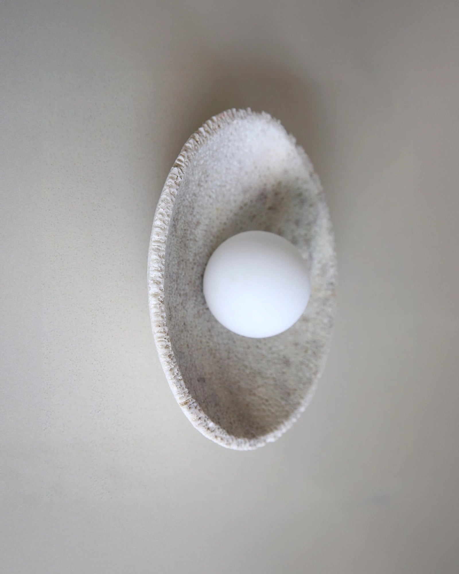 Fossil Coral Orb Wall Light