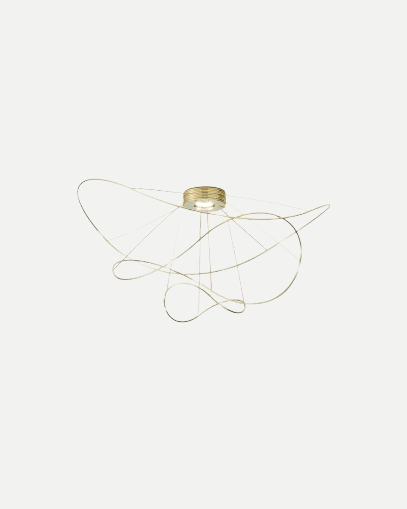 Hoops Ceiling Light