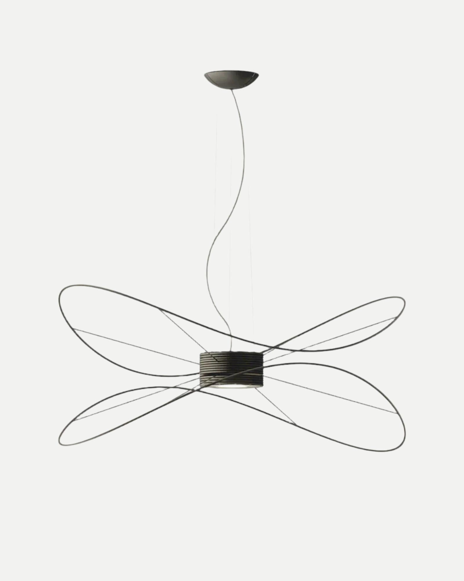 Hoops Pendant Light