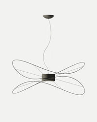 Hoops Pendant Light