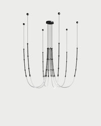 Leda 6lt Pendant Light
