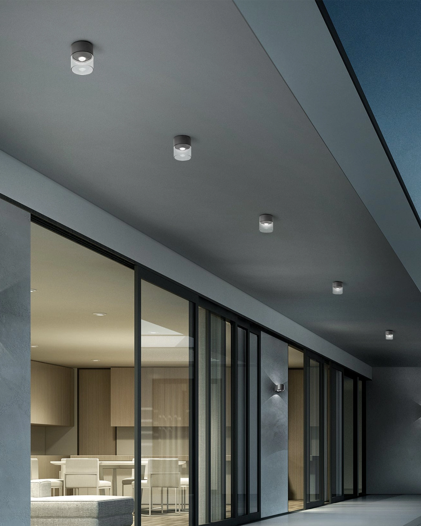 Lens Outdoor Ceiling Light