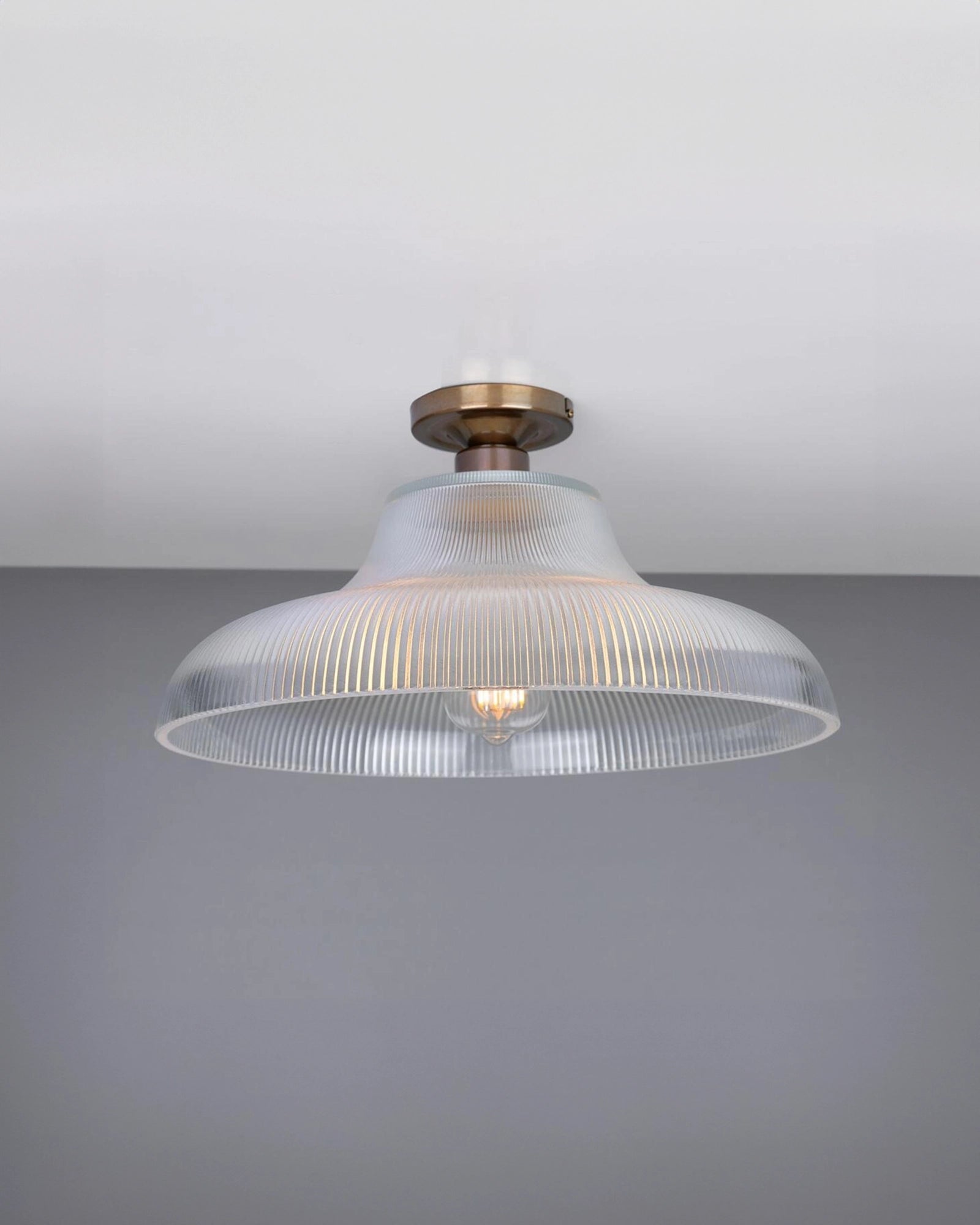 Mono Ceiling Light