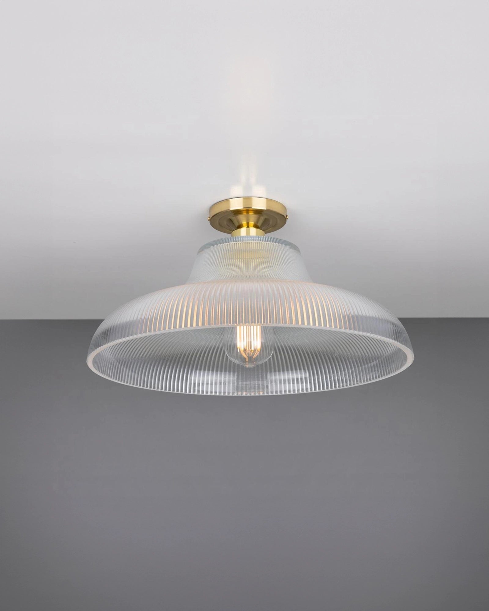 Mono Ceiling Light