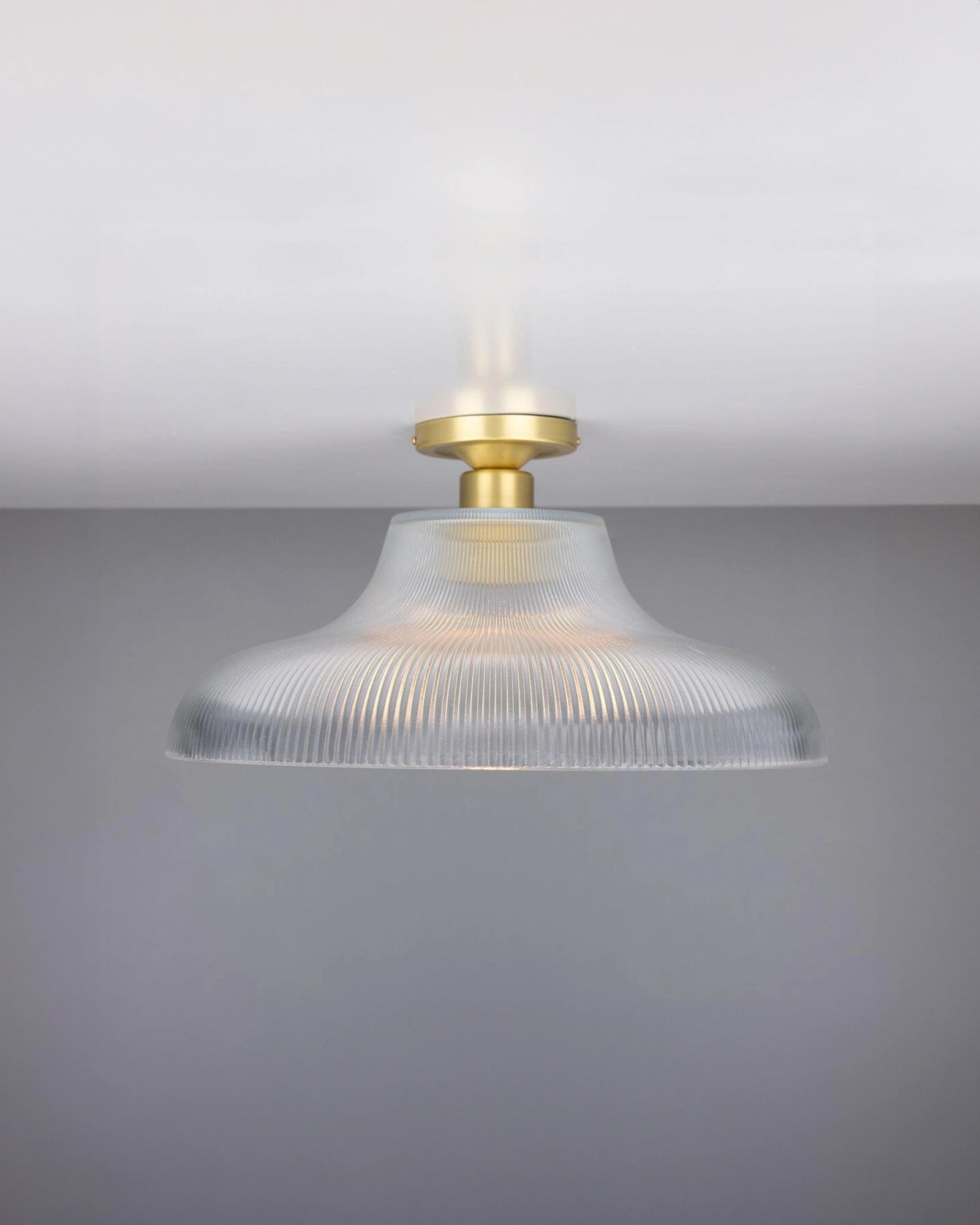 Mono Ceiling Light