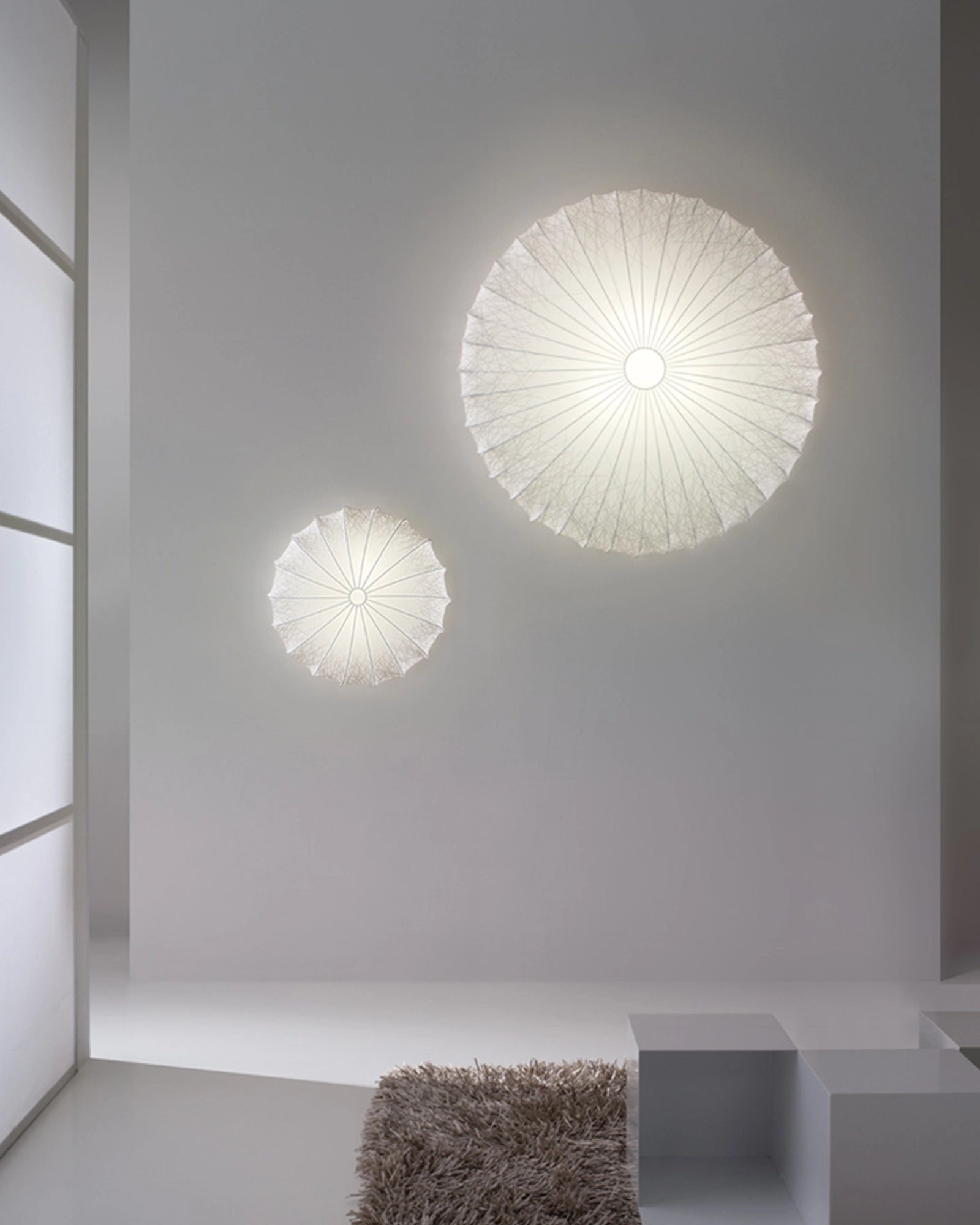 Muse Wall Light