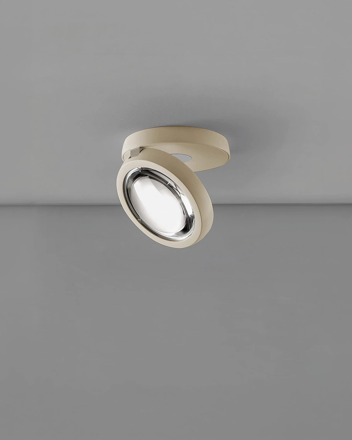 Nautilus Ceiling Light