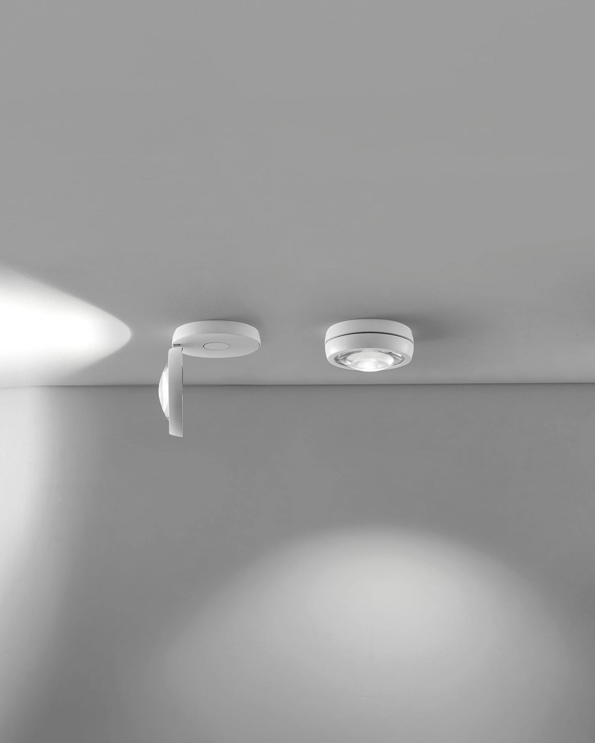 Nautilus Ceiling Light