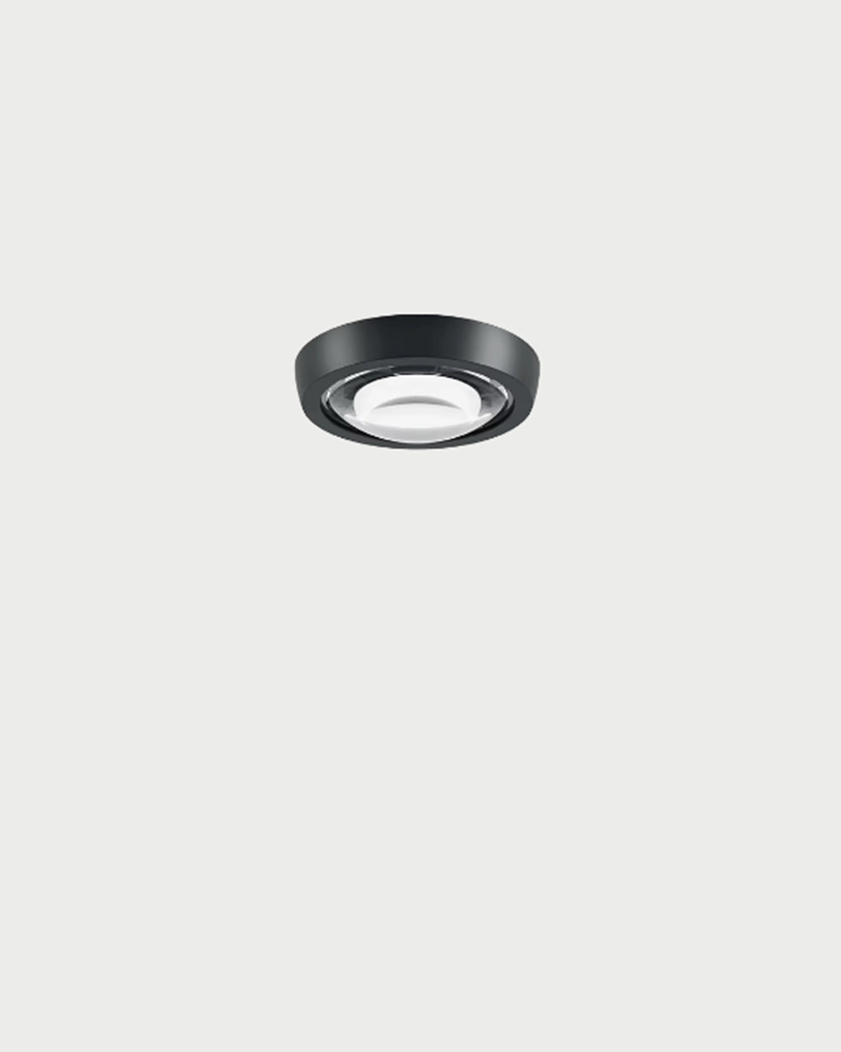 Nautilus Spotlight