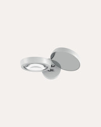 Nautilus Wall Light