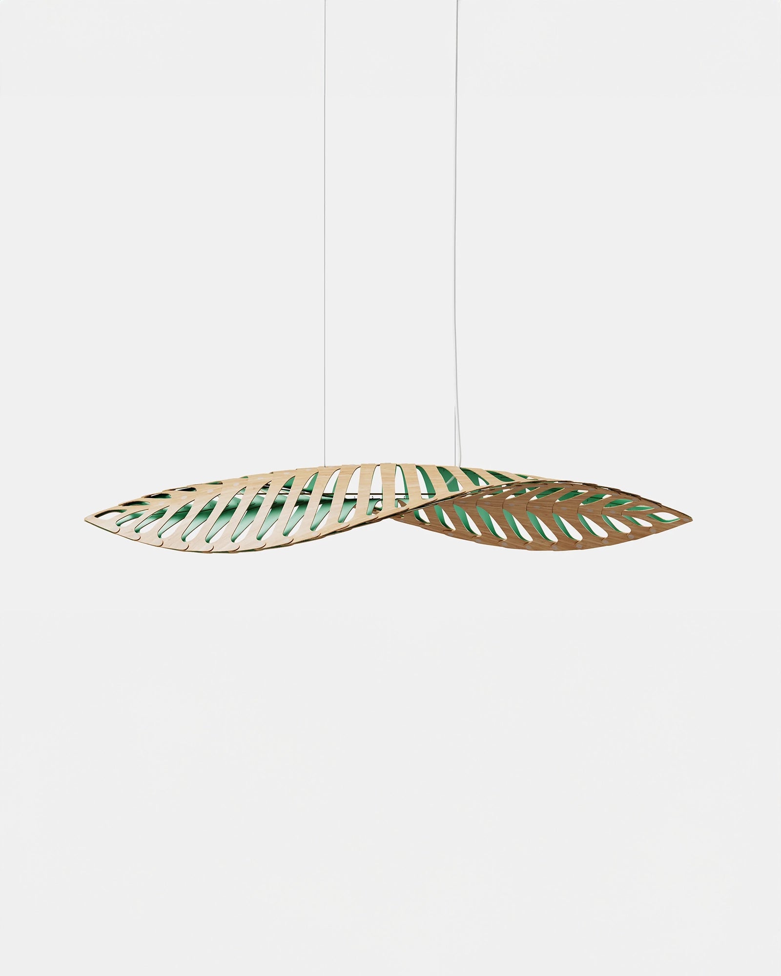 Navicula Pendant Light