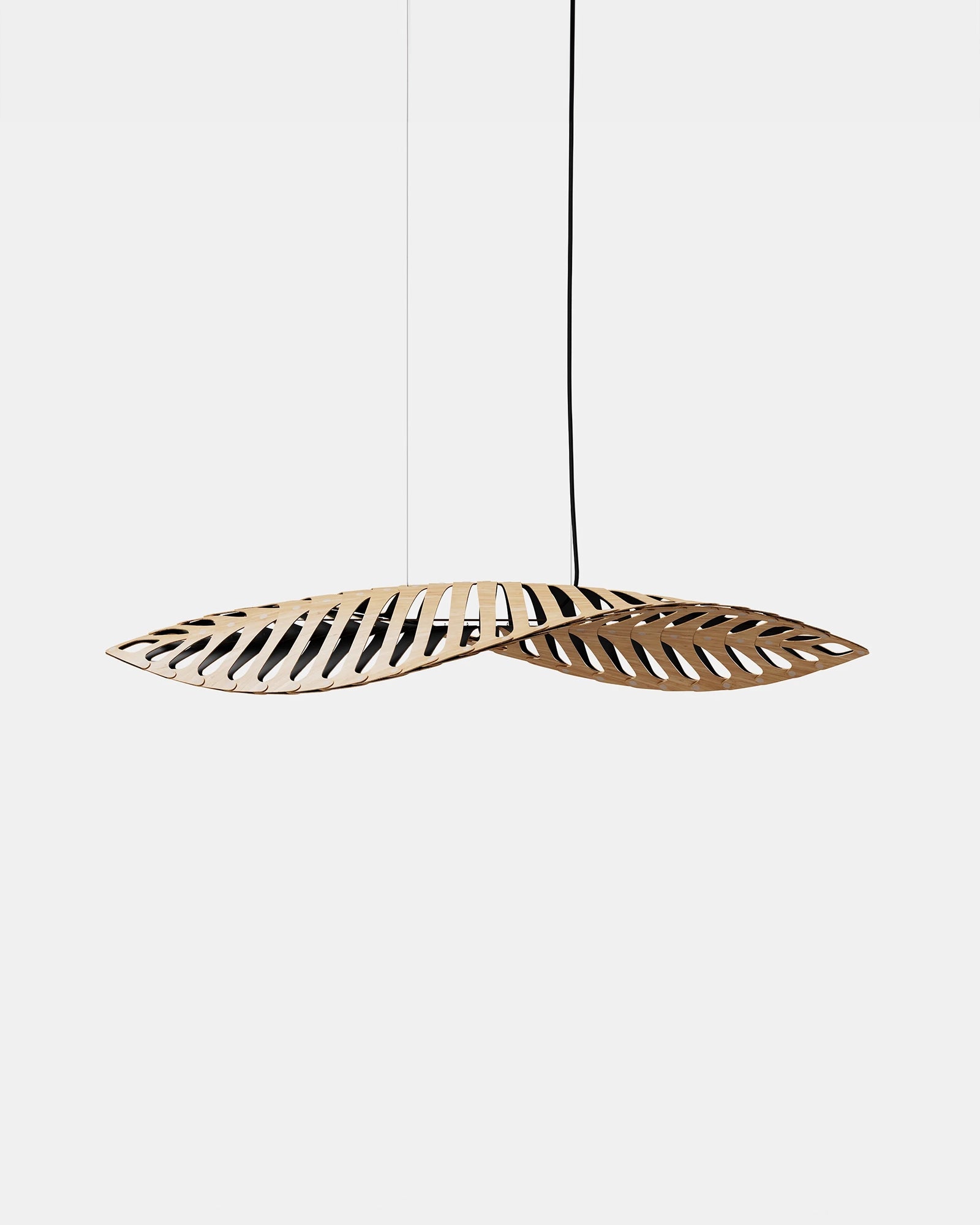 Navicula Pendant Light