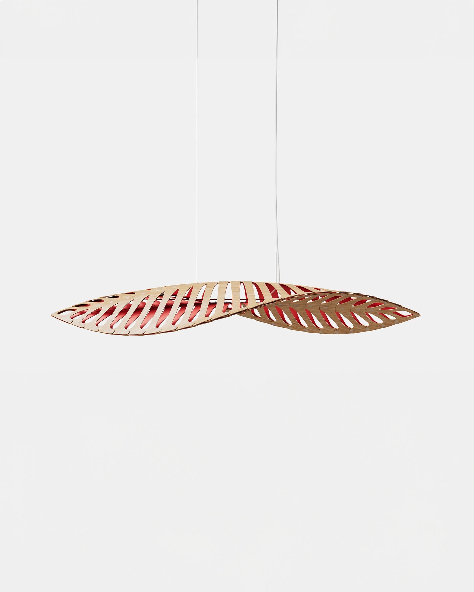 Navicula Pendant Light