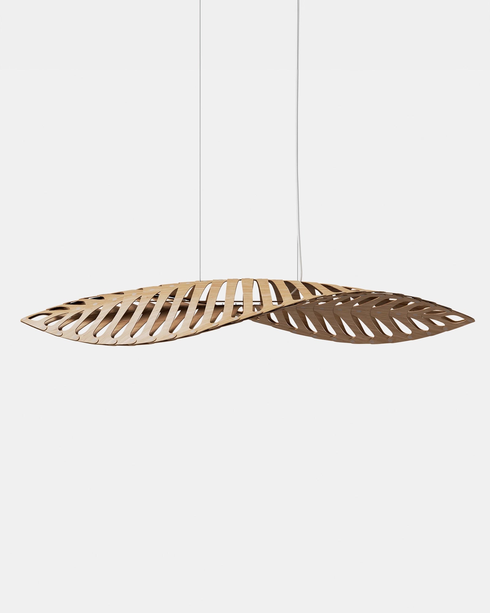 Navicula Pendant Light