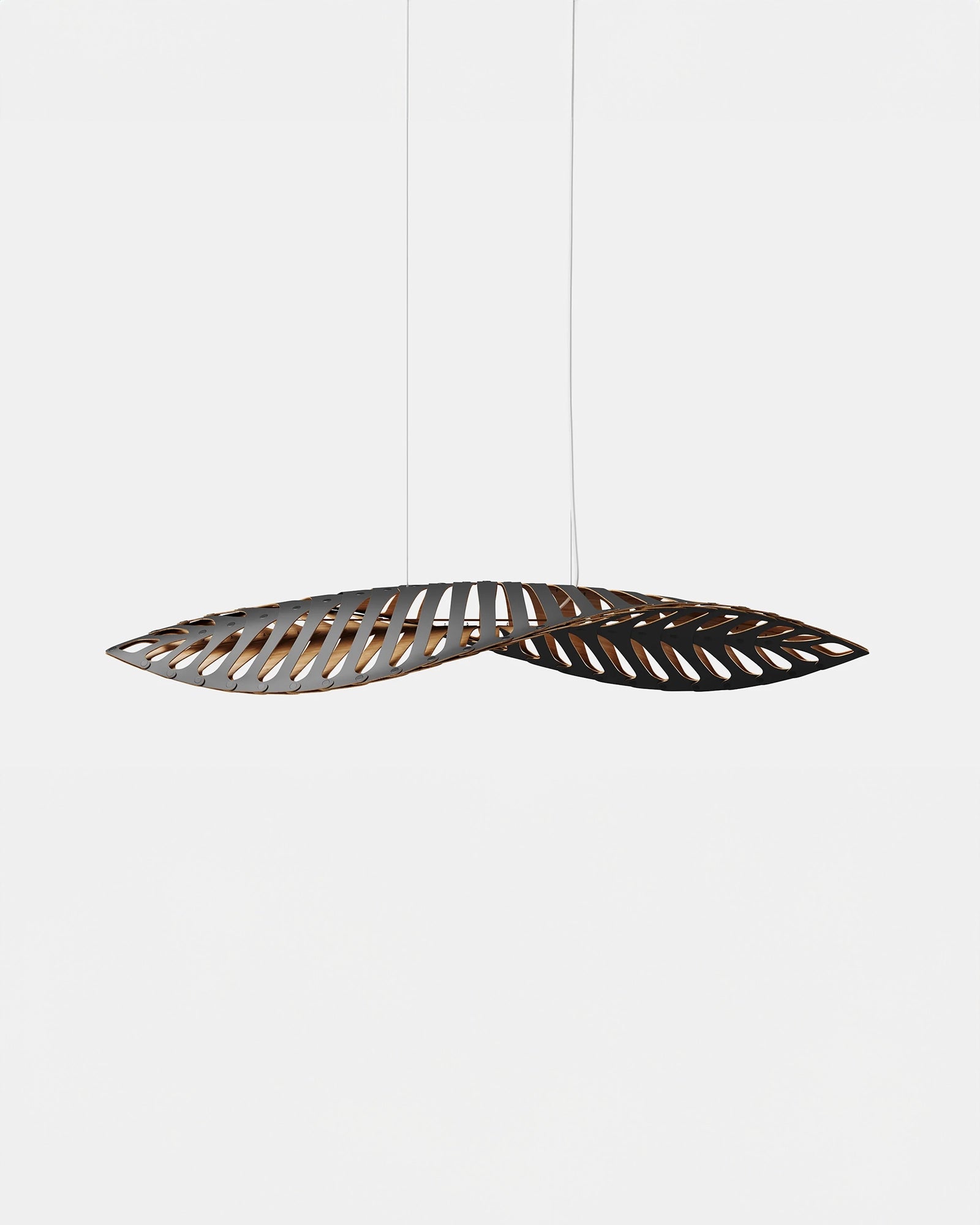 Navicula Pendant Light