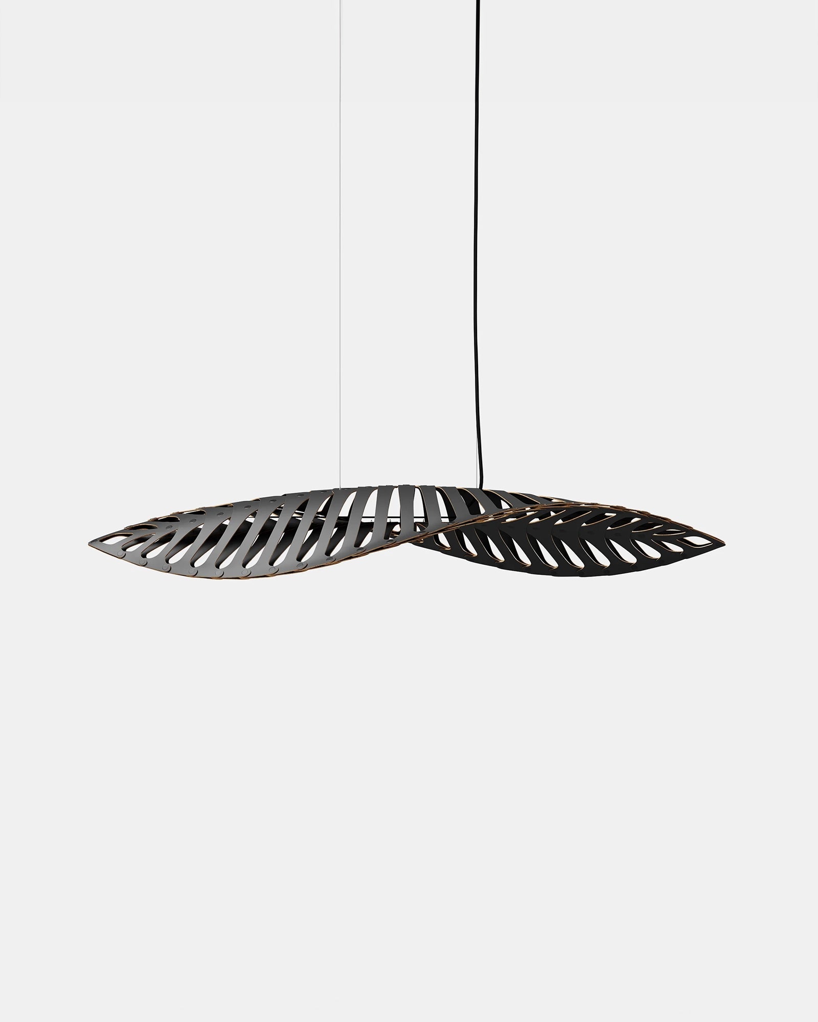 Navicula Pendant Light