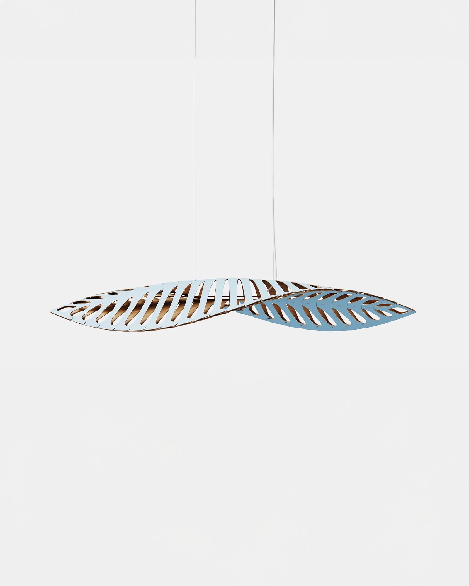 Navicula Pendant Light