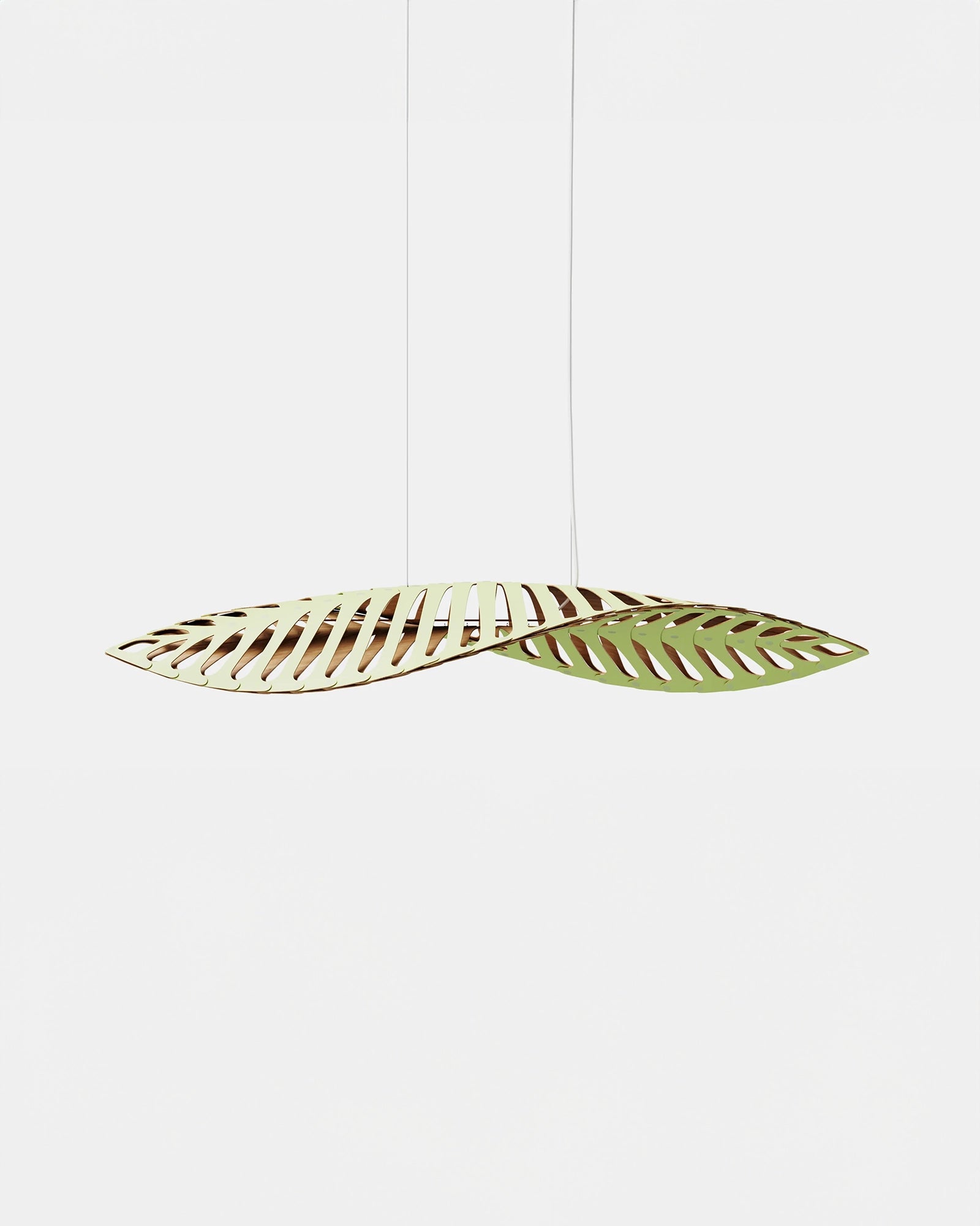 Navicula Pendant Light