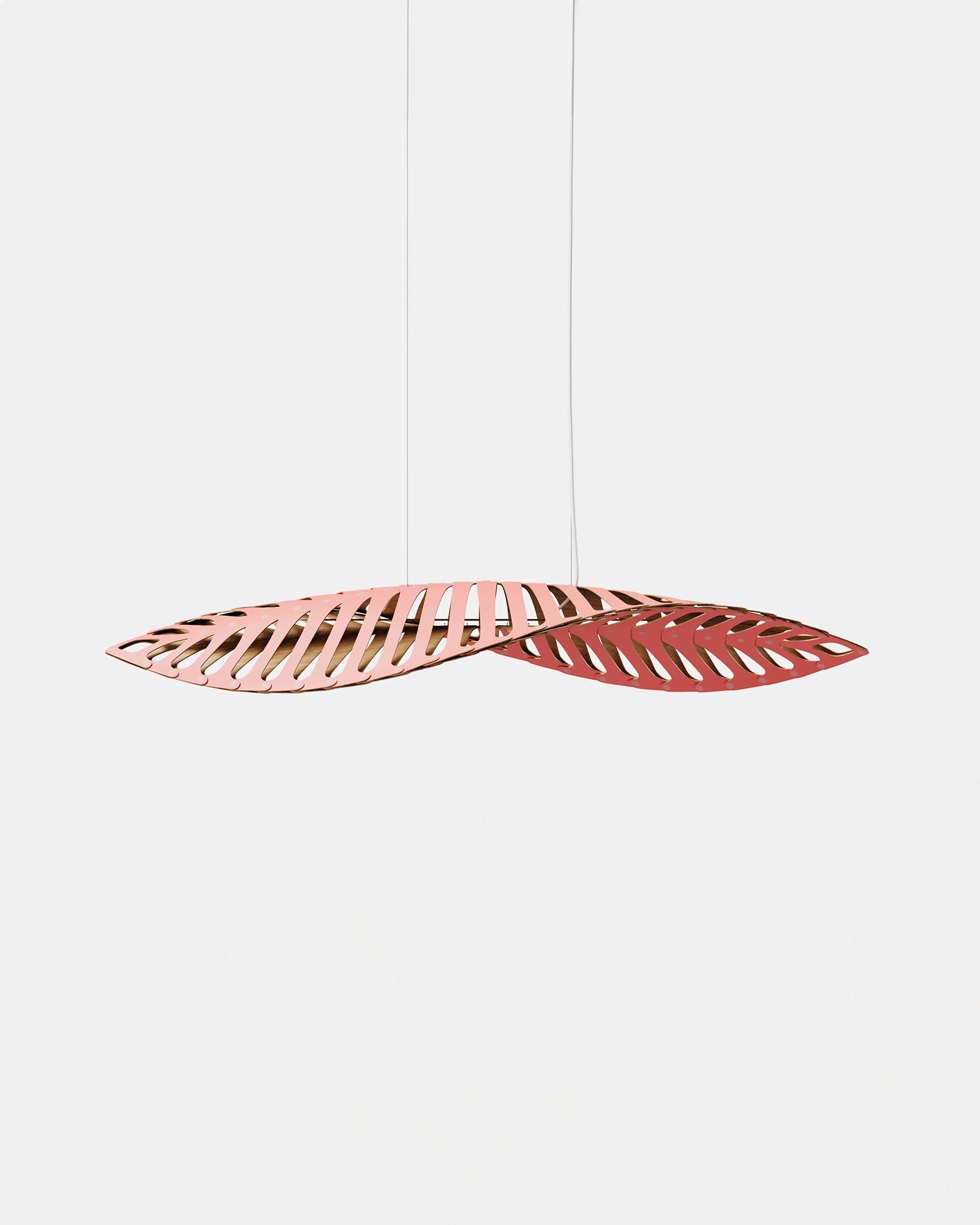 Navicula Pendant Light