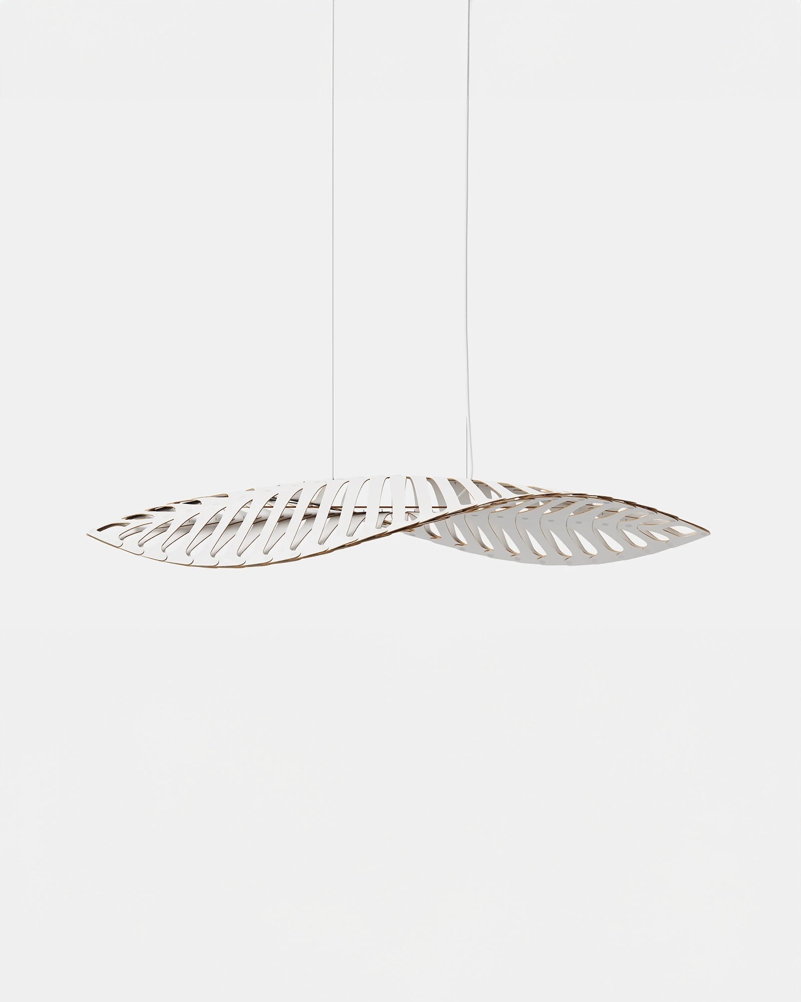 Navicula Pendant Light