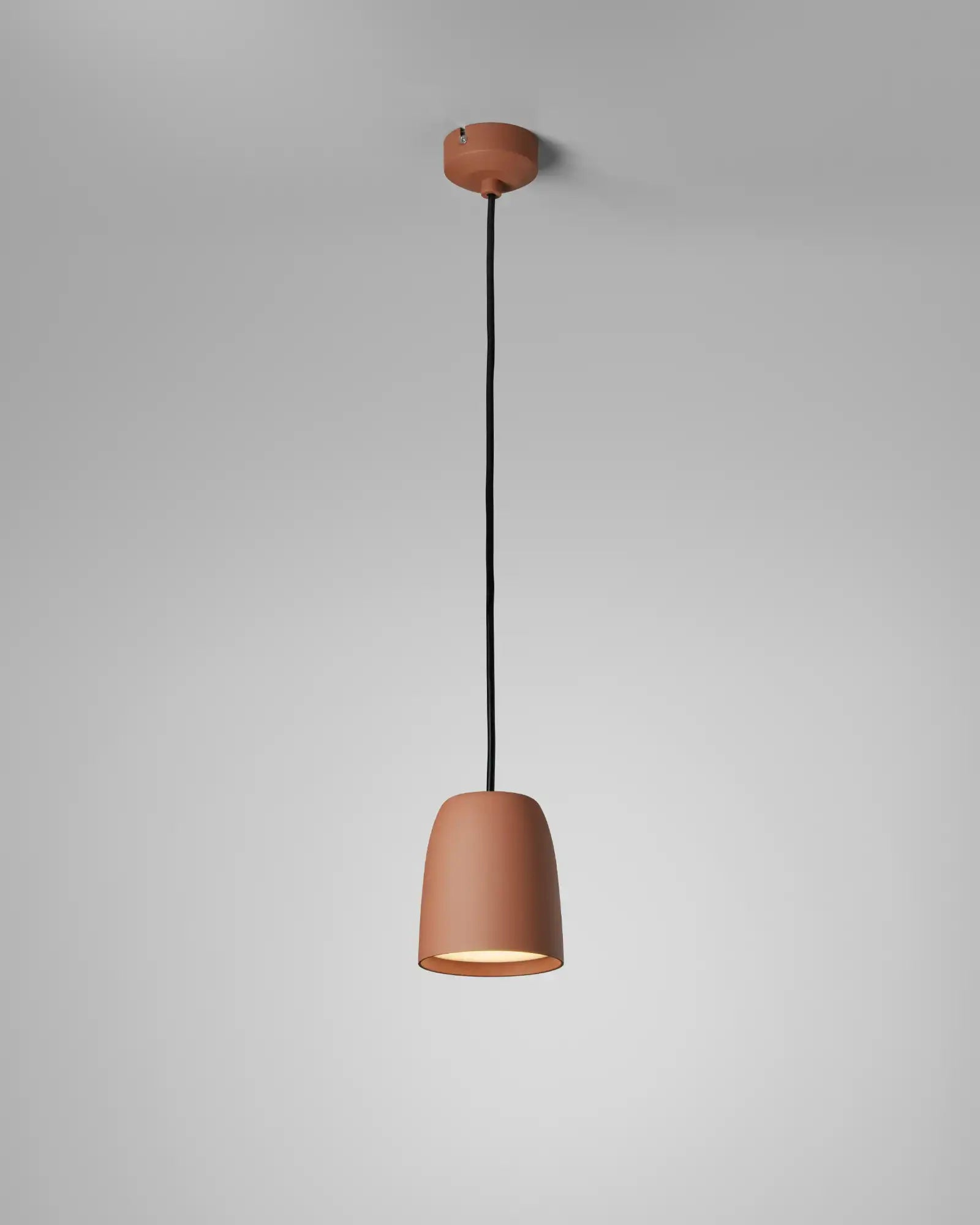 Nut Pendant Light